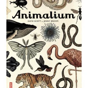Animalium (français)
