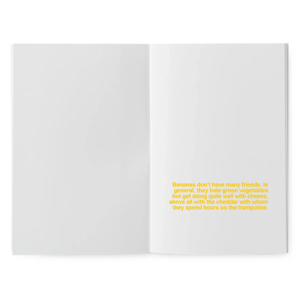 A book to illustrate - The Secret Life of Bananas – Image 6