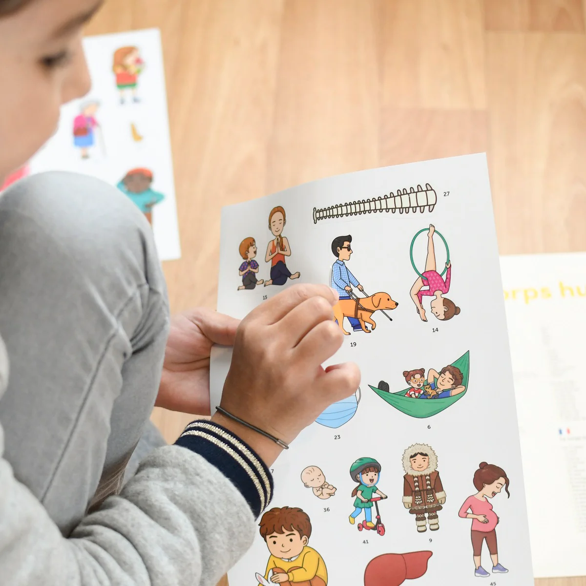 Affiche découverte et autocollants repositionnables - Le corps humain – Image 2