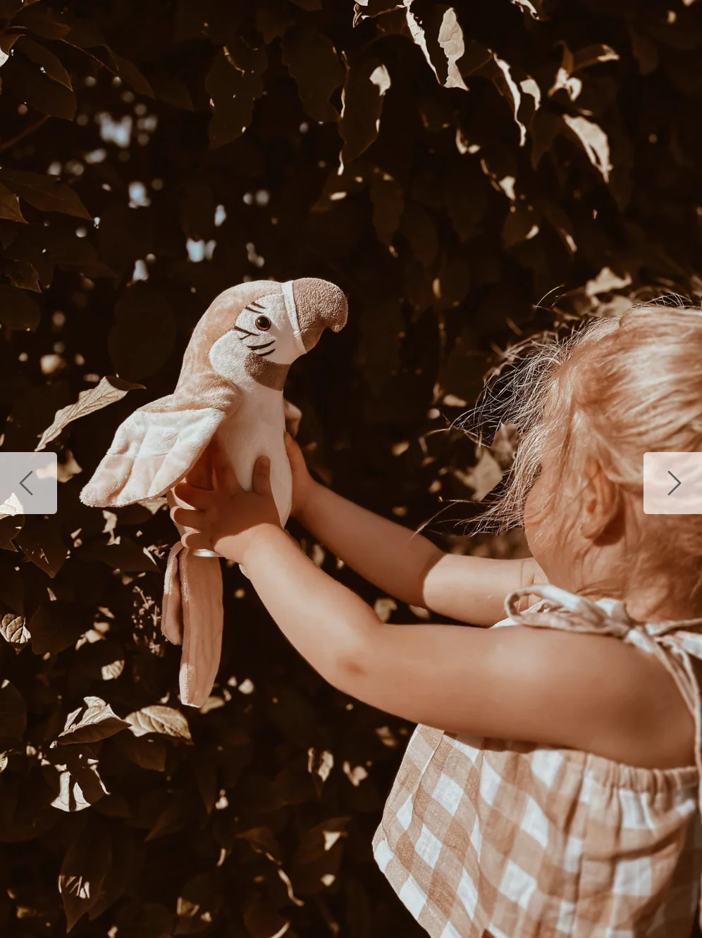 Perroquet qui parle | Nude – Image 4