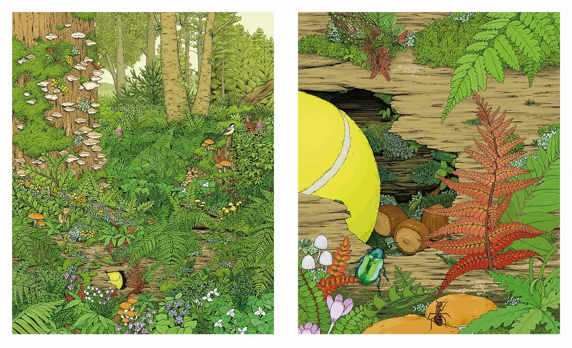 Des jours comme ça – Image 4