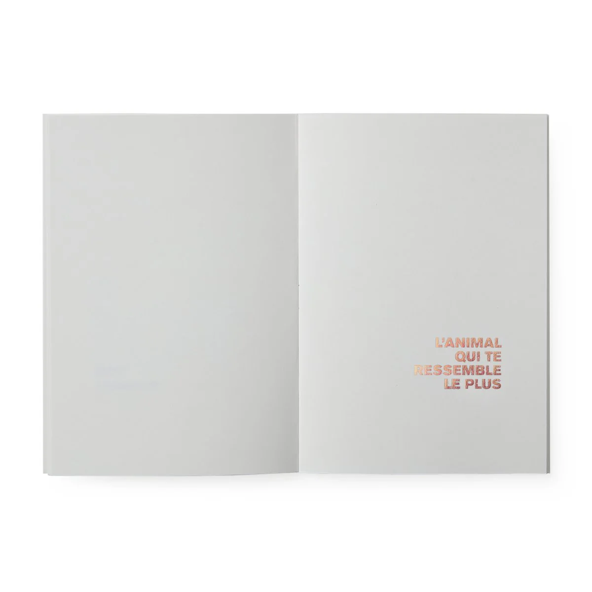 Toi - Un livre pour t'illustrer – Image 3