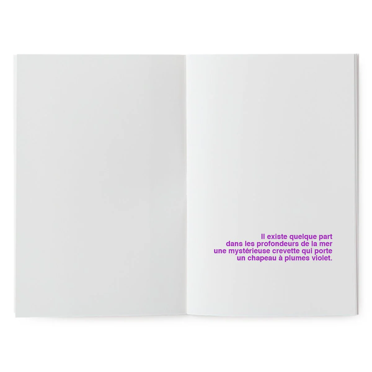 Livre à illustrer - La mystérieuse crevette – Image 2