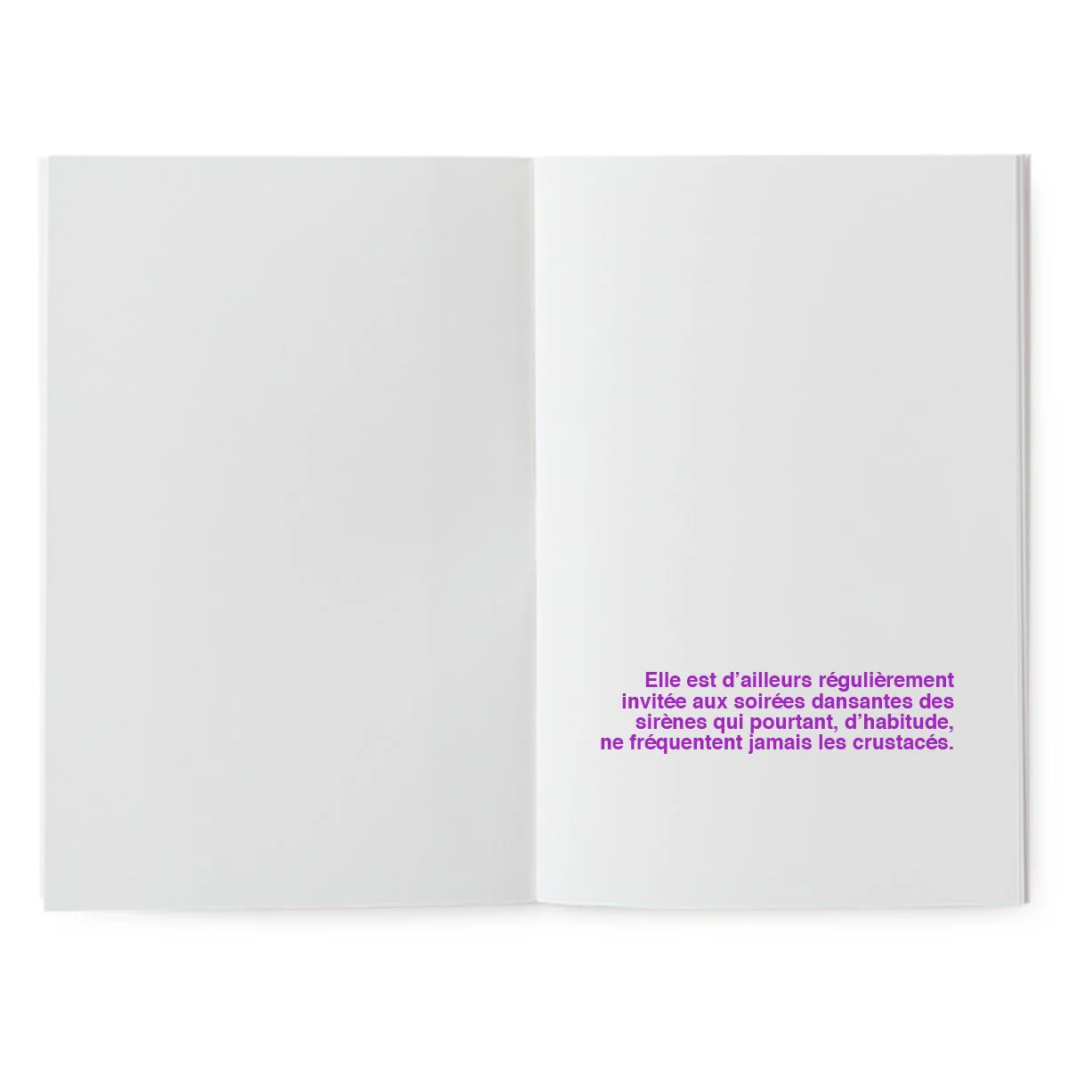 Livre à illustrer - La mystérieuse crevette – Image 4