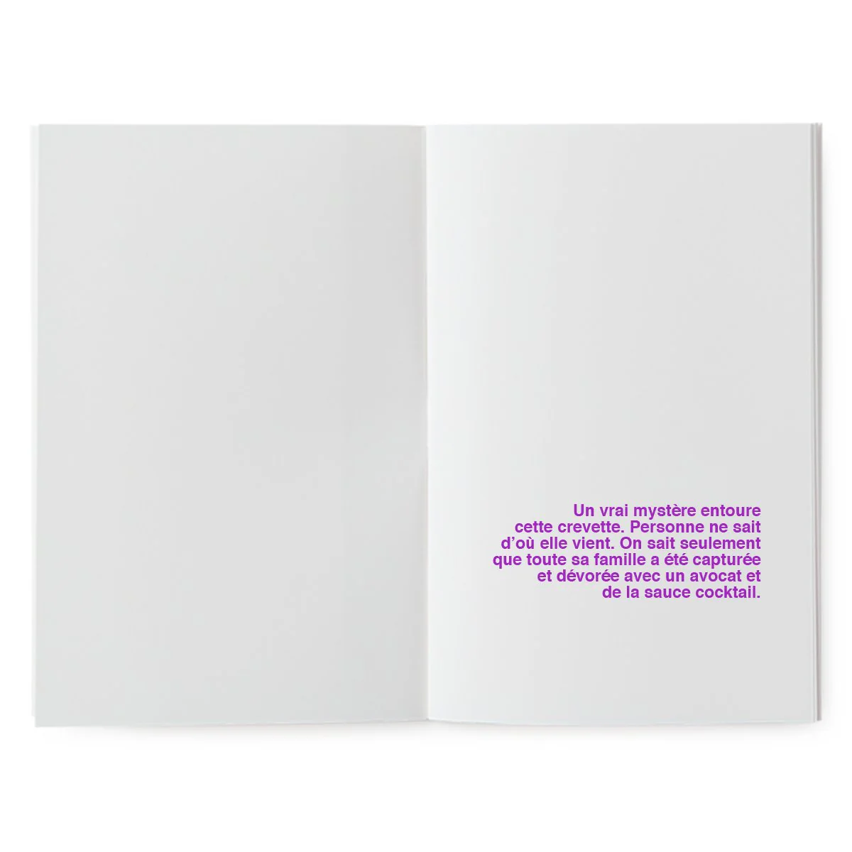 Livre à illustrer - La mystérieuse crevette – Image 5