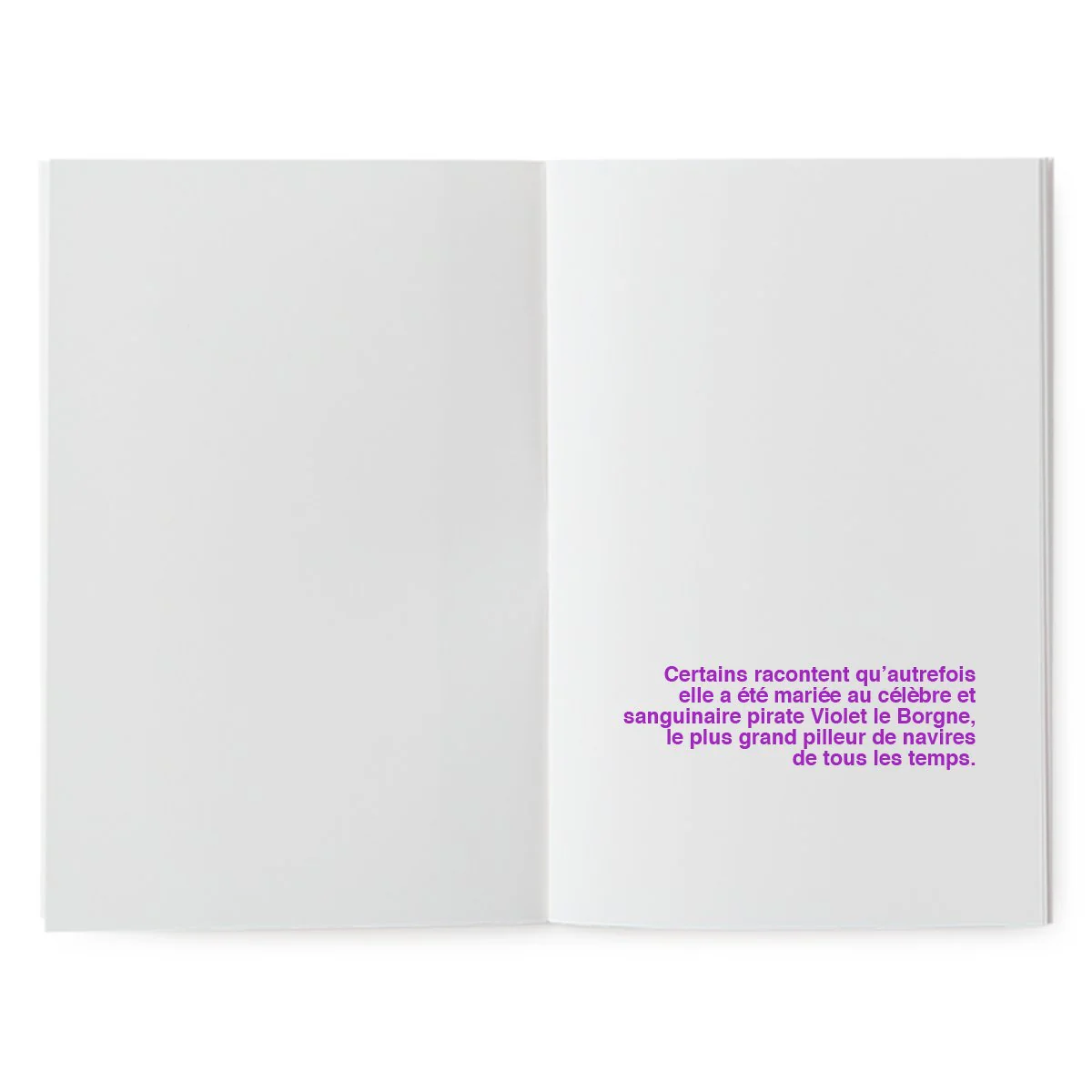 Livre à illustrer - La mystérieuse crevette – Image 6