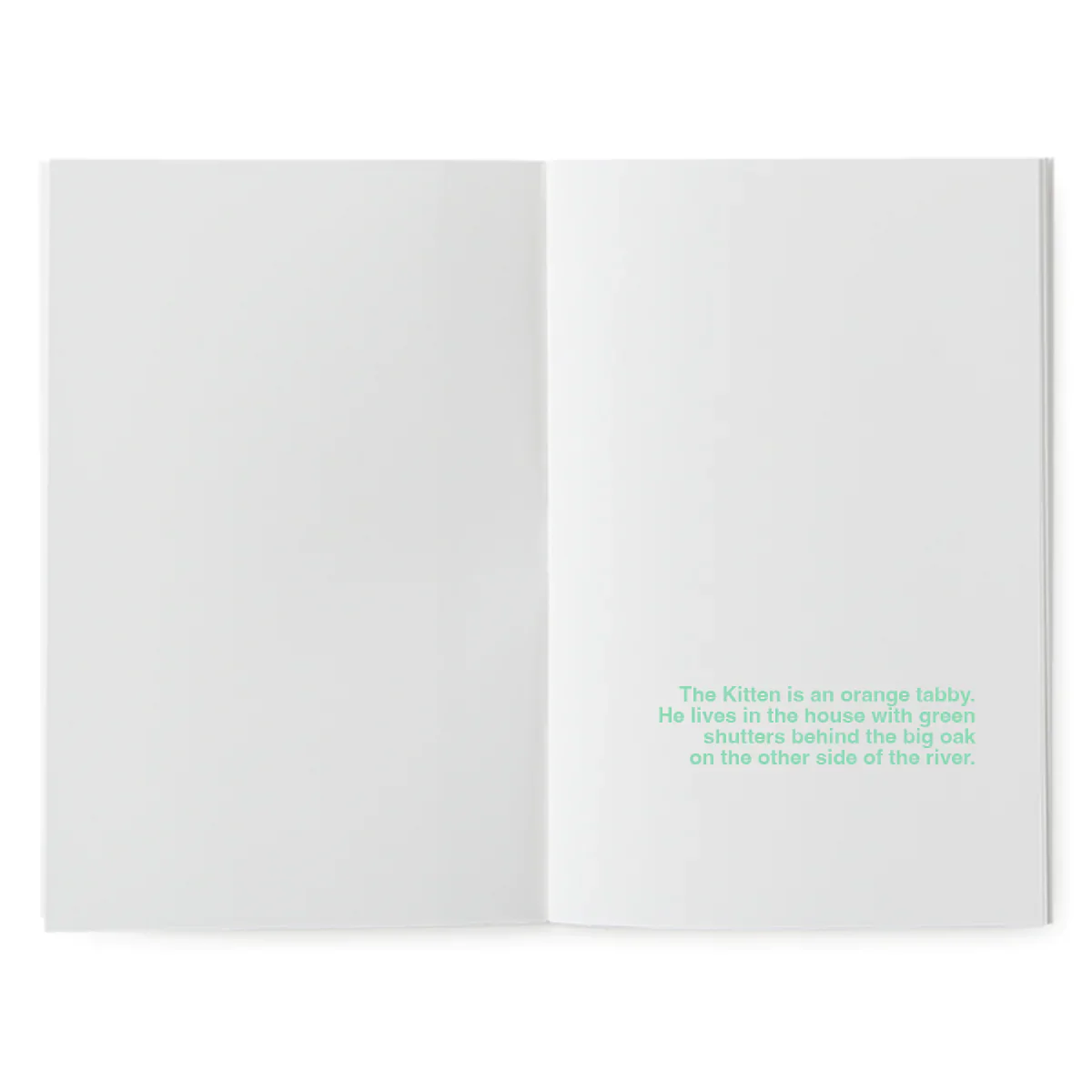 A book to illustrate - The flying kitten – Image 2