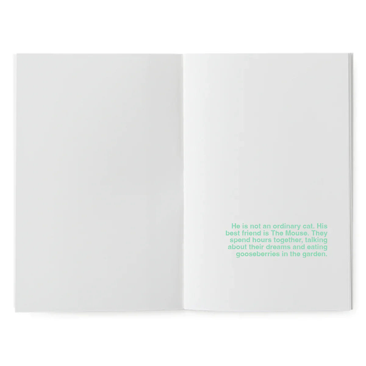 A book to illustrate - The flying kitten – Image 3