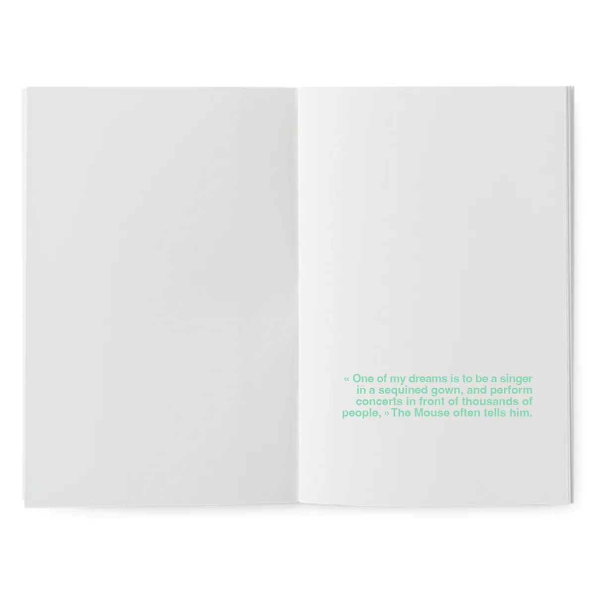 A book to illustrate - The flying kitten – Image 4