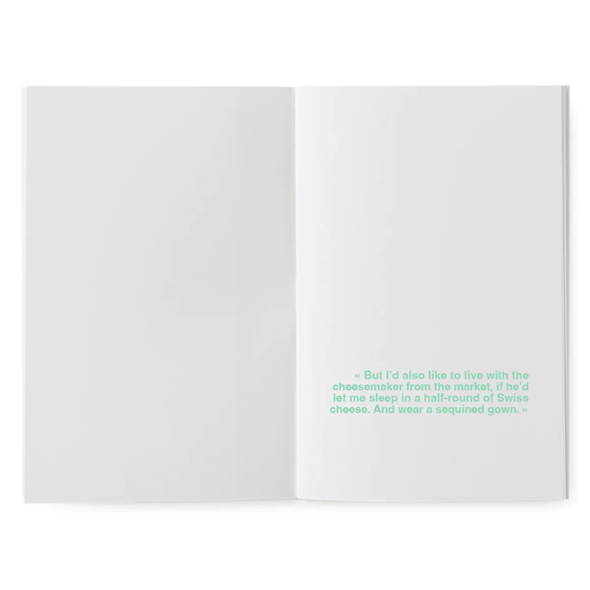 A book to illustrate - The flying kitten – Image 5