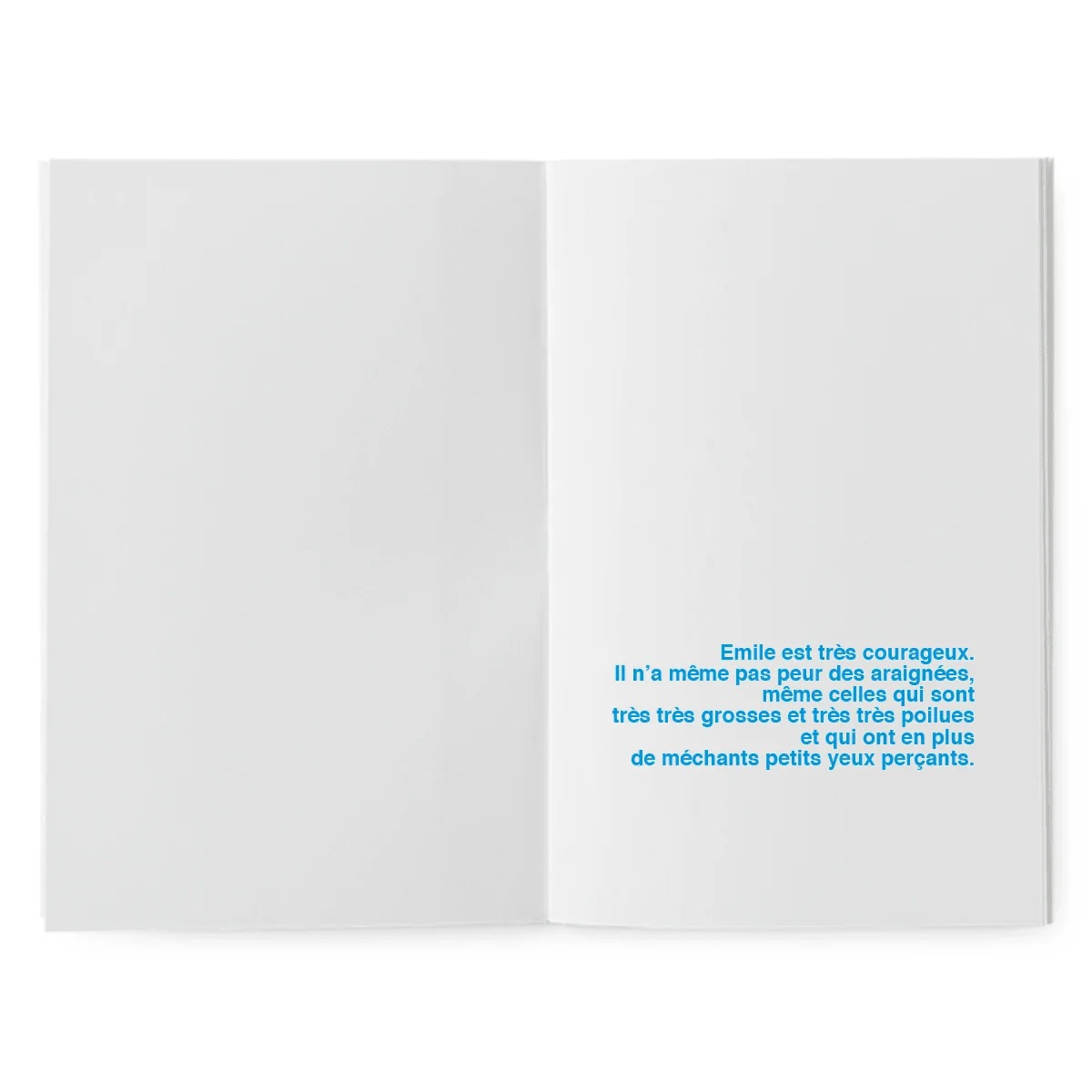 Livre à illustrer - Mais où se cachent les araignées... – Image 2