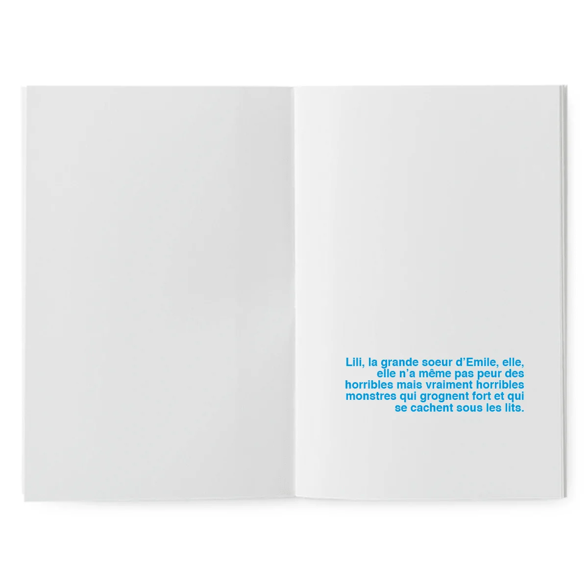 Livre à illustrer - Mais où se cachent les araignées... – Image 3