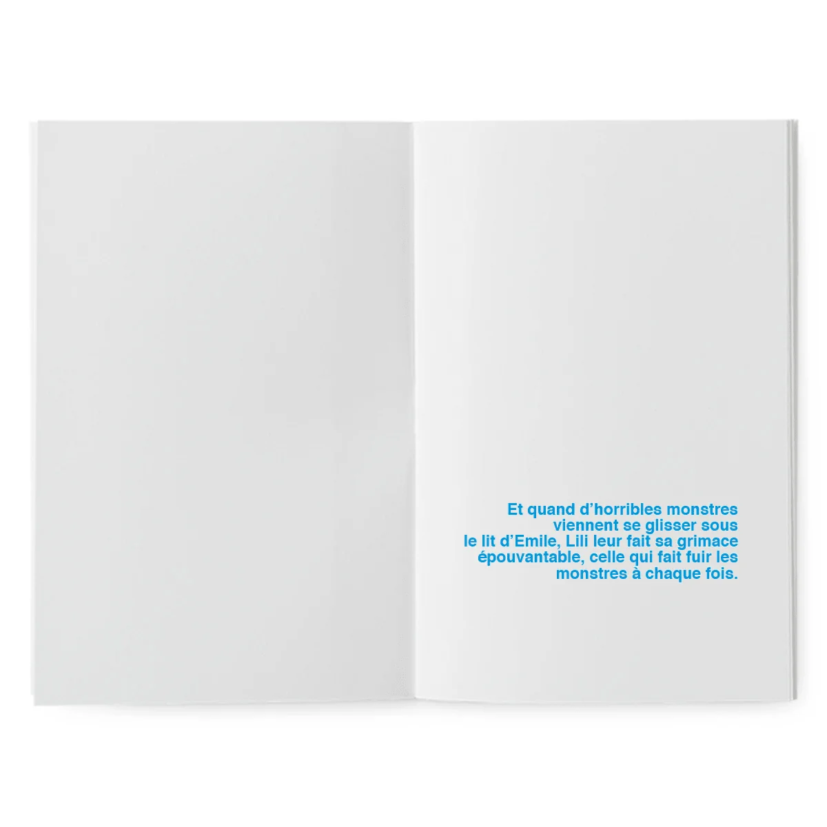 Livre à illustrer - Mais où se cachent les araignées... – Image 4