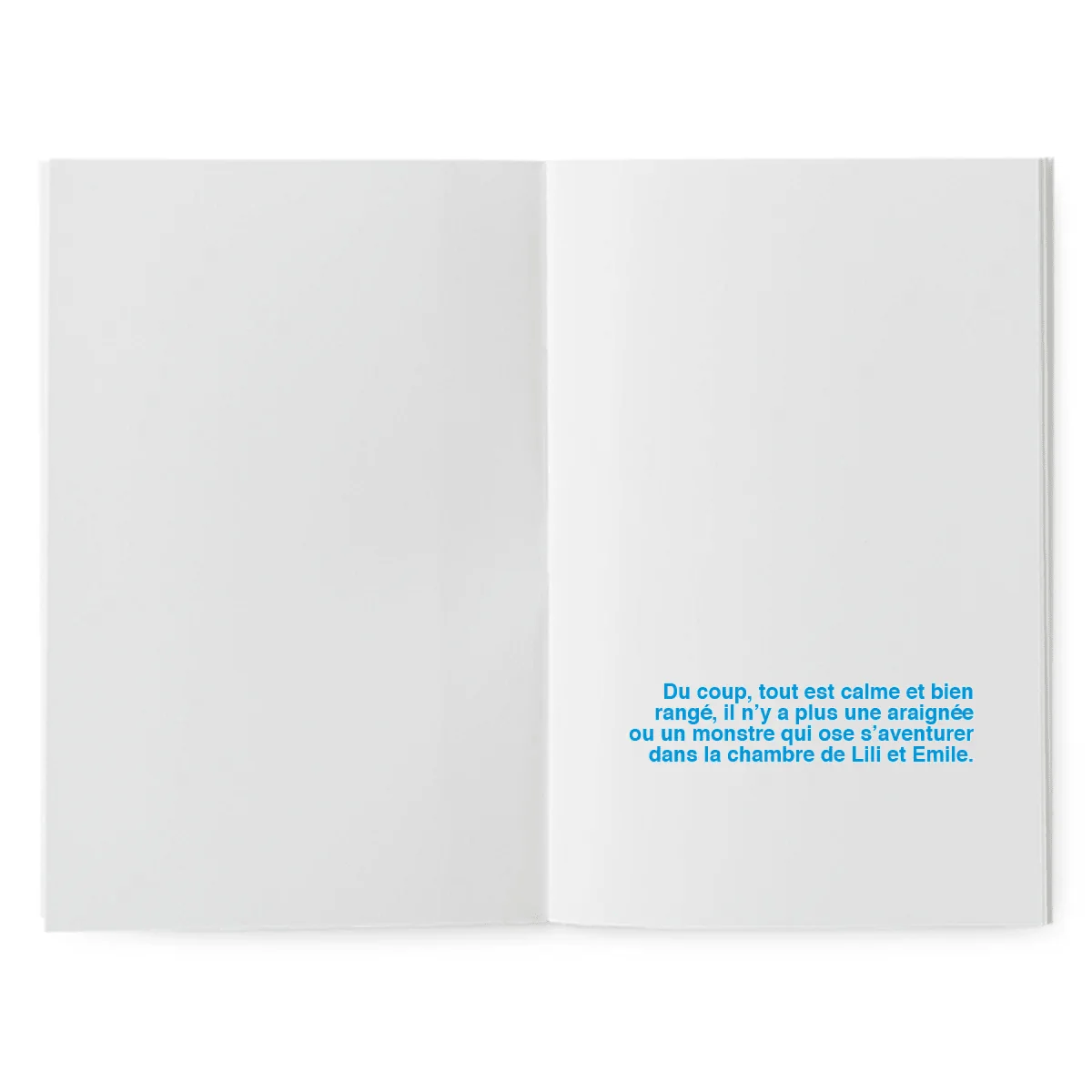 Livre à illustrer - Mais où se cachent les araignées... – Image 5