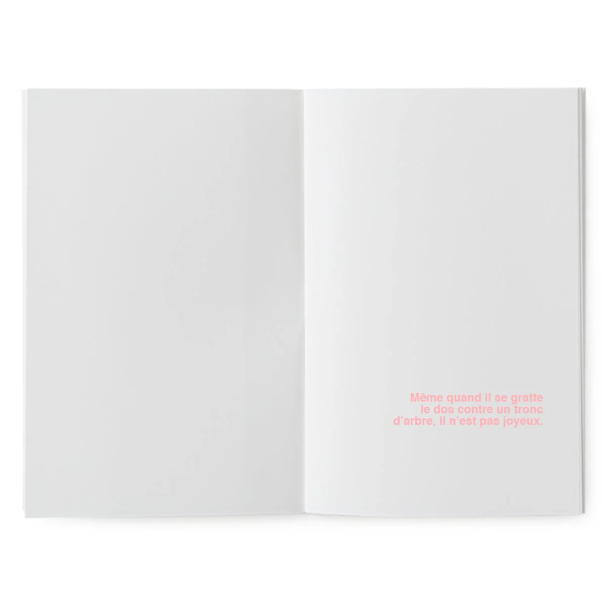 Livre à illustrer - Peau d'ours – Image 3