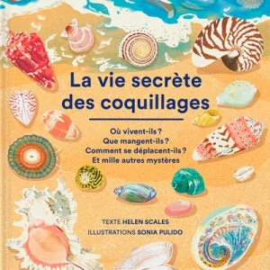 La vie secrète des coquillages