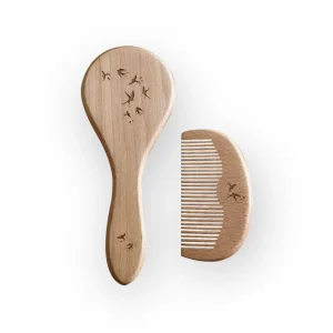 Set brosse & peigne