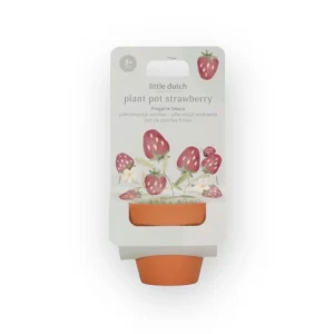 Kit de plantation | Fraise