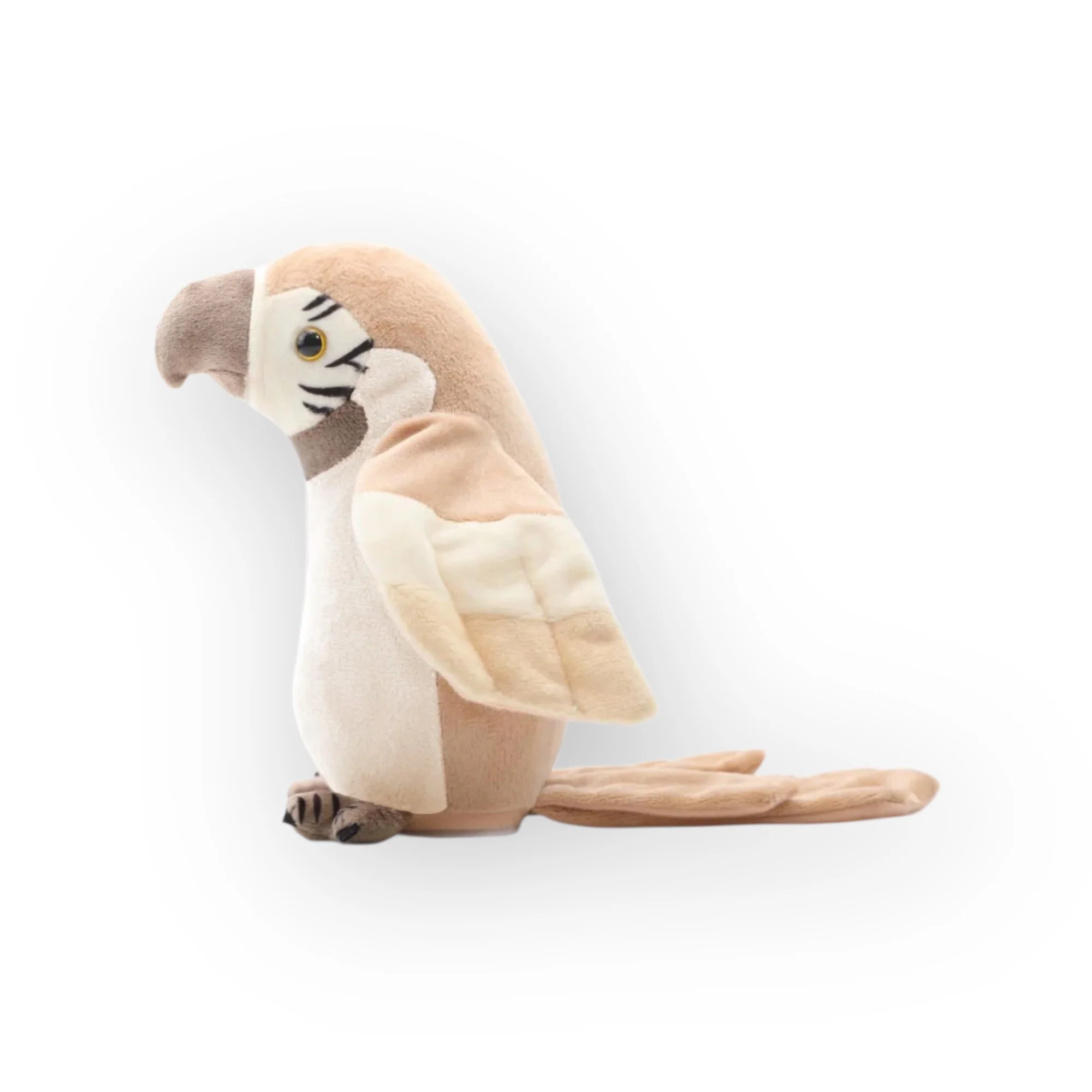 Perroquet qui parle | Nude