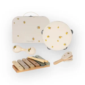 Valisette d'instruments | Citrons