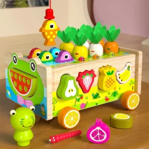 Jeu Éducatif en Bois – Pêche, Tri des Formes et Motricité Fine