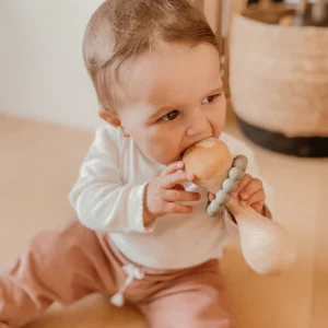 Maracas de dentition - Sauge