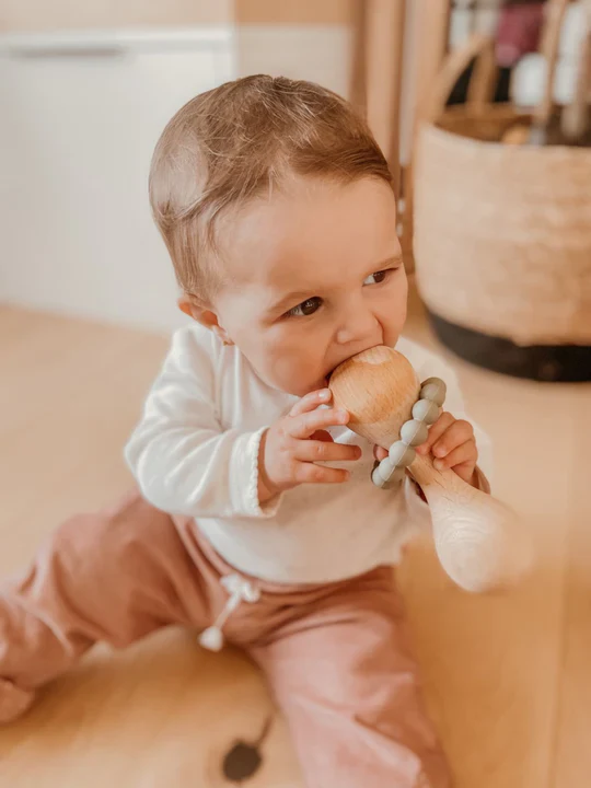 Maracas de dentition - Sauge