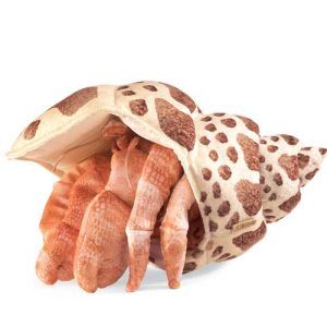 Marionnette - Bernard l'Hermite