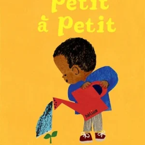 Petit à petit