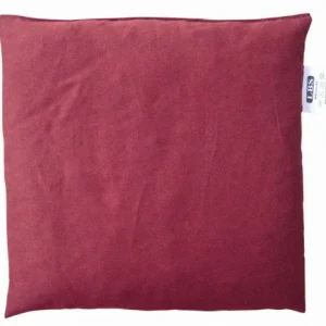 COUSSIN STANDARD NOYAUX DE CERISE